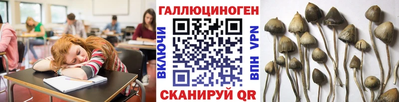 Купить закладки  Тотьма  Псилоцибиновые грибы мицелий 