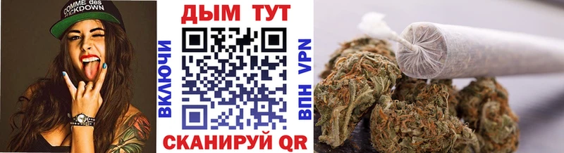 Купить закладки Тотьма Бошки Шишки White Widow